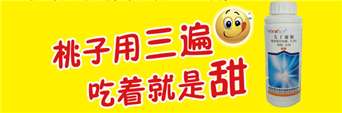 图片6.png