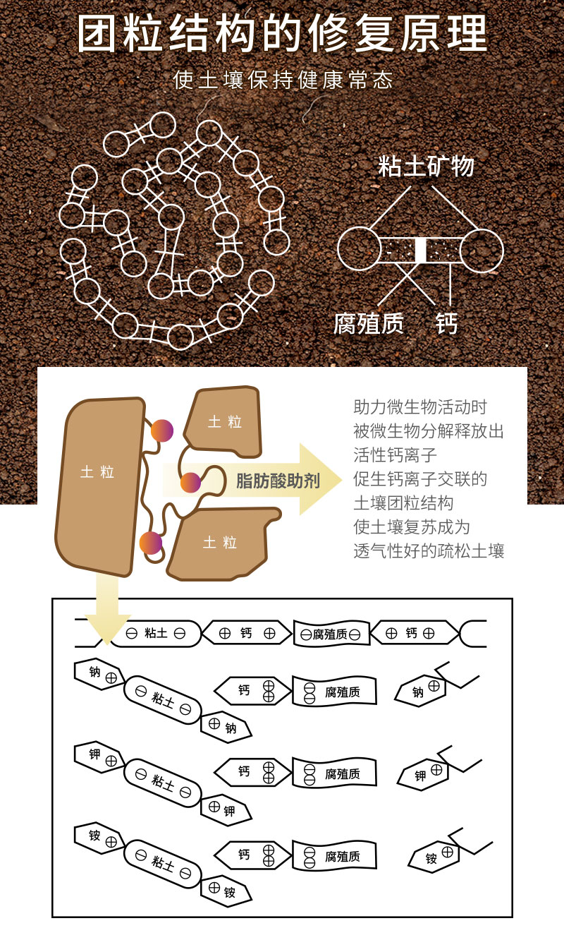脂肪酸助劑詳情頁_05.jpg