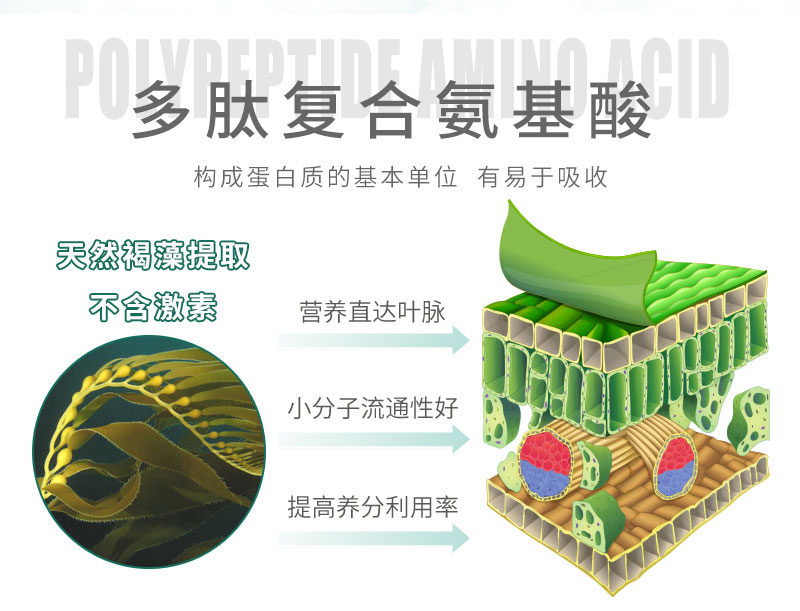 水溶肥詳情頁_03.jpg