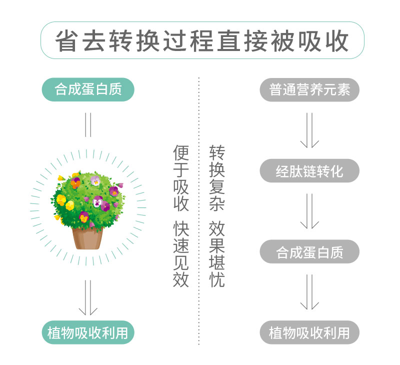 水溶肥詳情頁_06.jpg