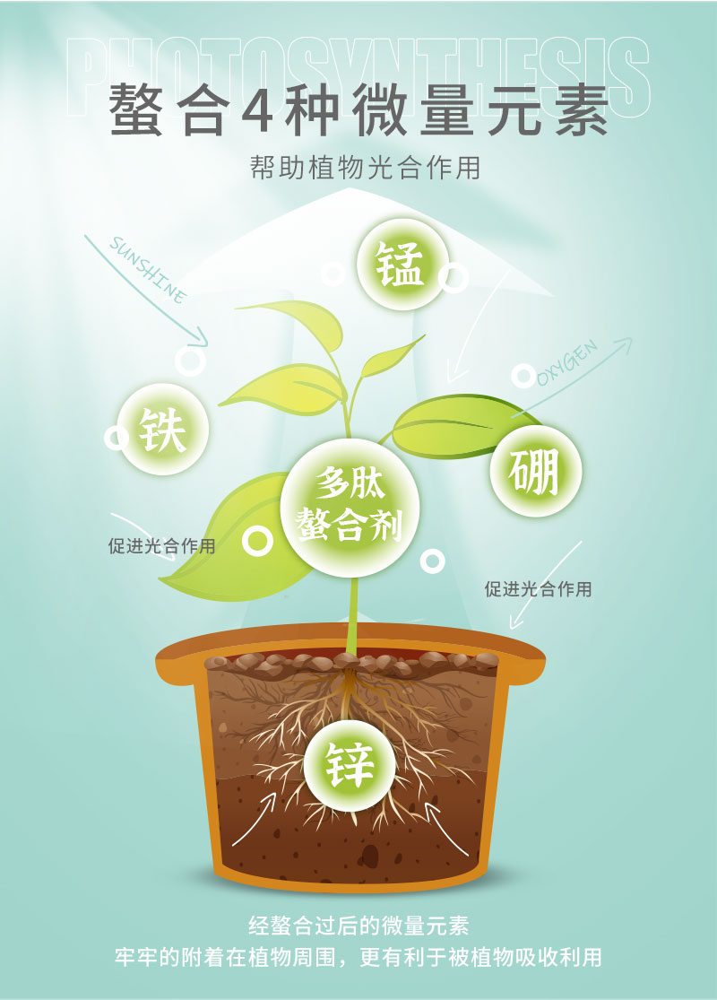 水溶肥詳情頁_08.jpg