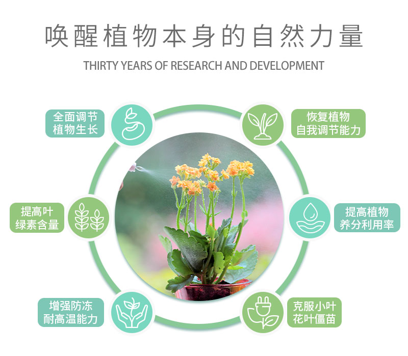 水溶肥詳情頁_09.jpg