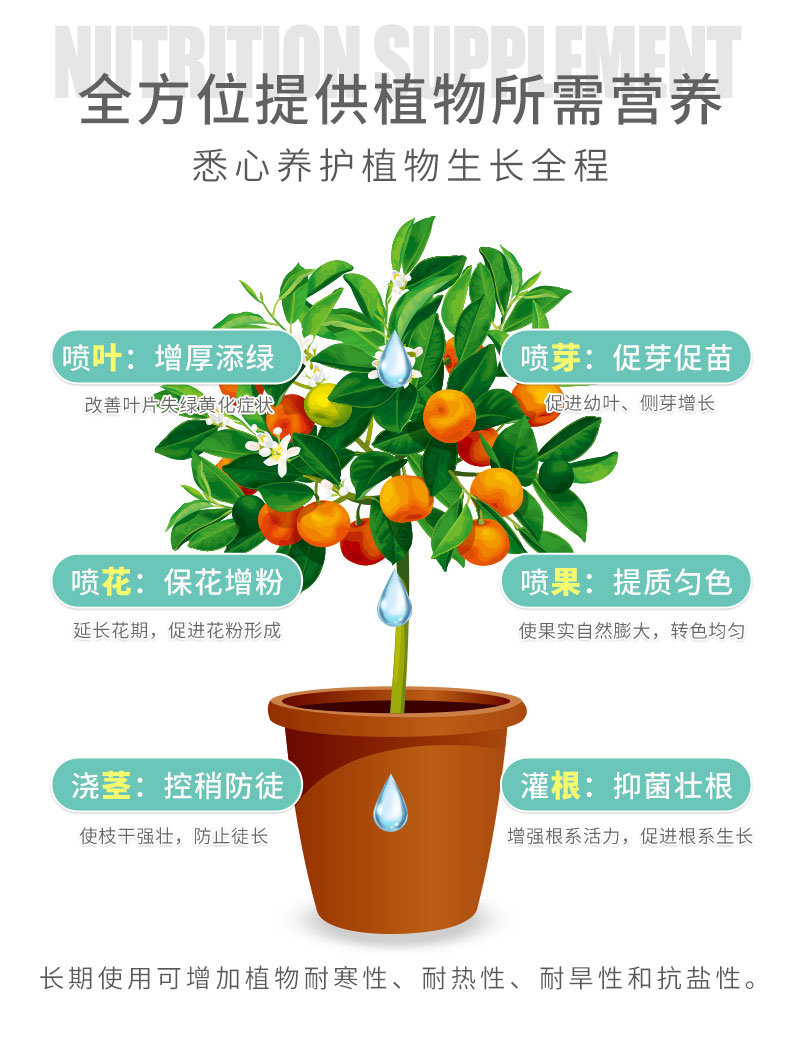 水溶肥詳情頁_10.jpg