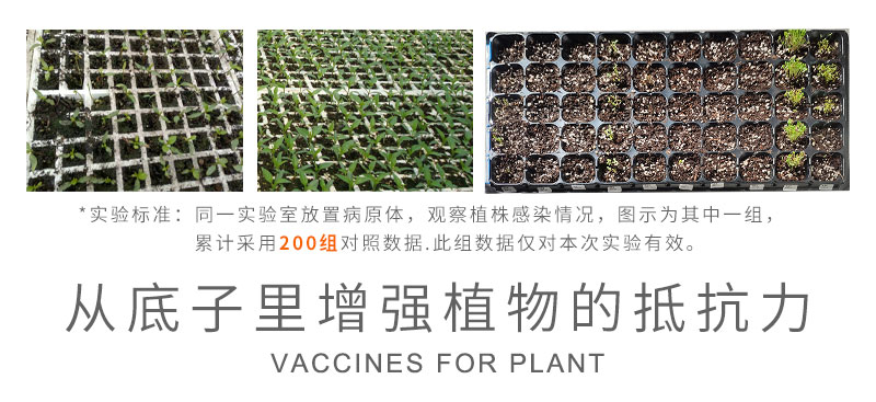 活力素2_03.jpg