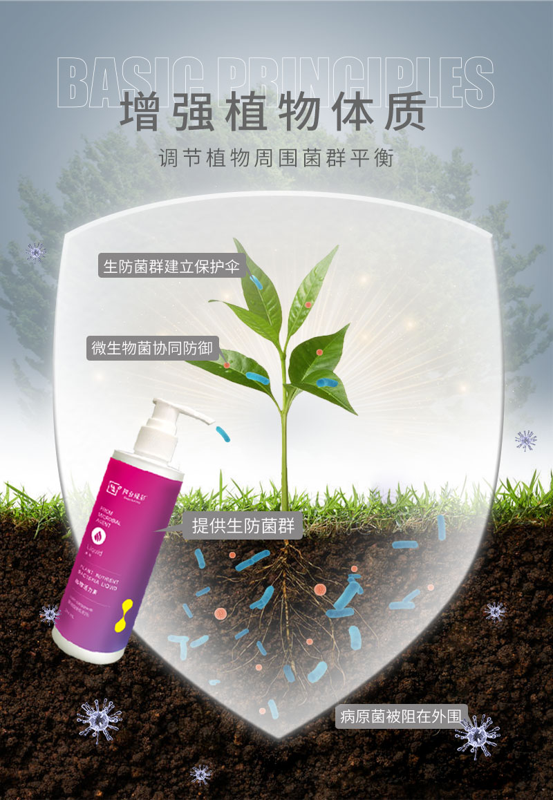 活力素2_04.jpg