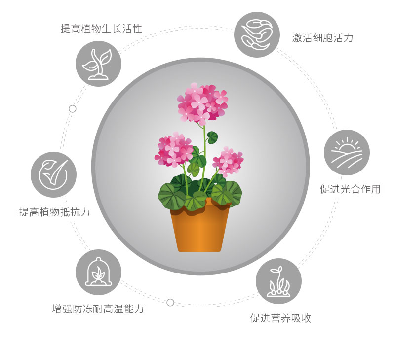 活力素2_06.jpg