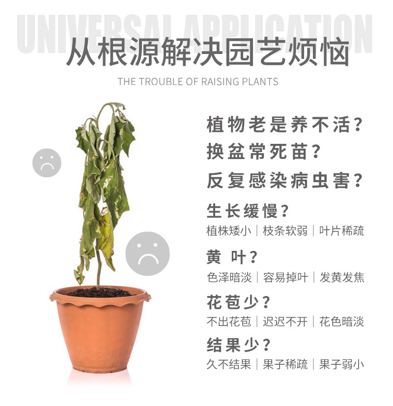 活力素2_07.jpg