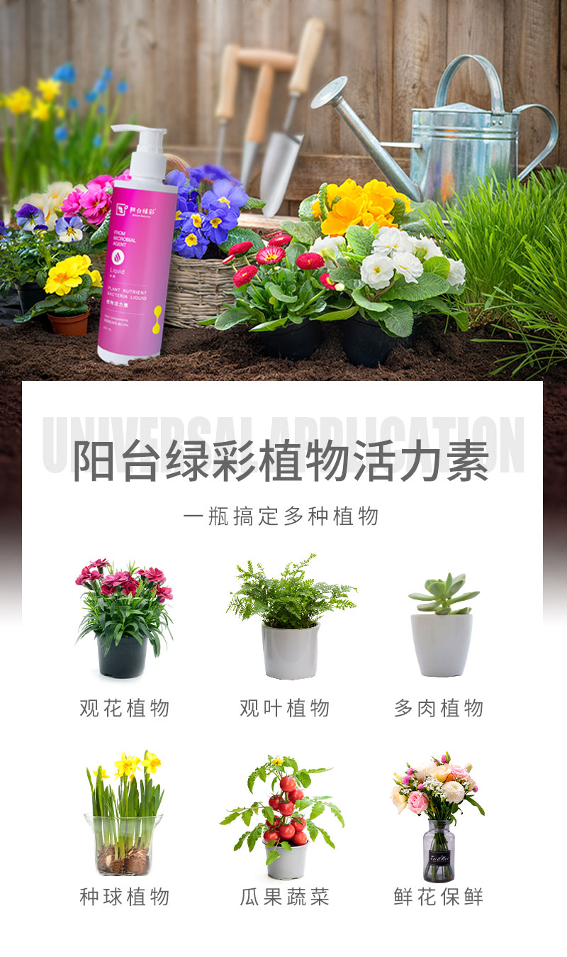 活力素2_08.jpg