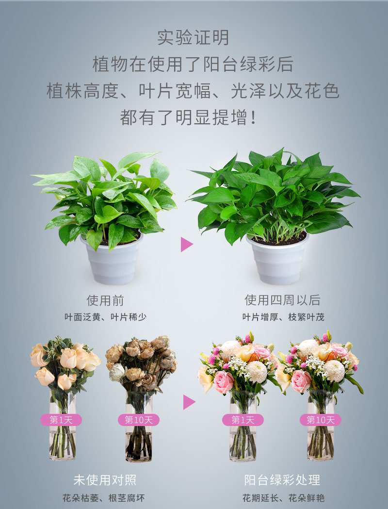 活力素2_09.jpg