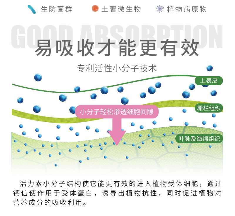 活力素2_05.jpg