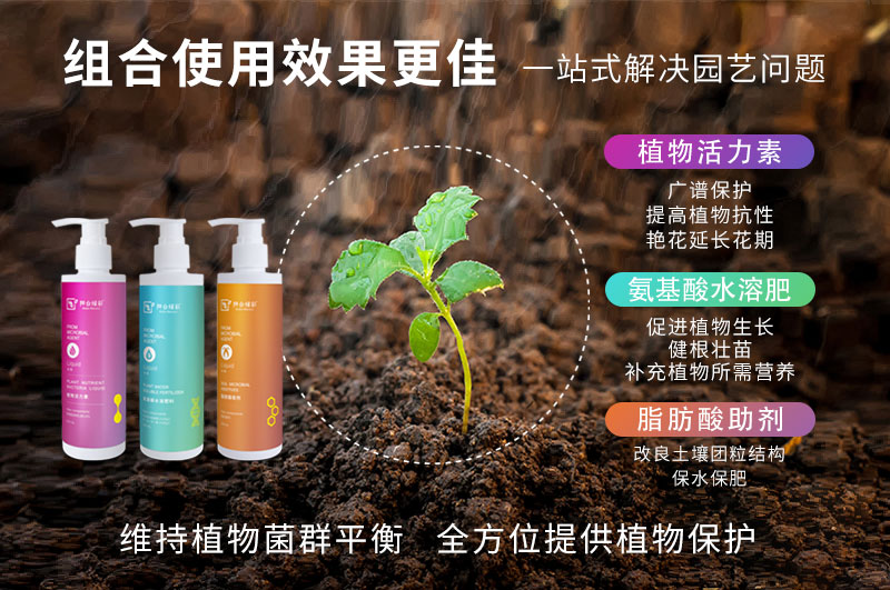 活力素2_17.jpg