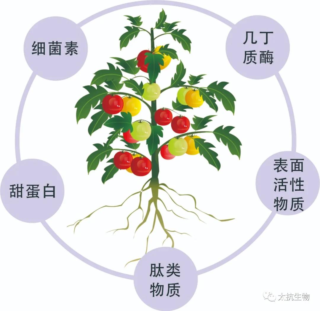 1634828620937966TeJo.jpg 微信圖片_20211021230534.jpg