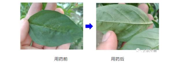 16348287142677883glg.jpg 微信截圖_20211021230558.jpg